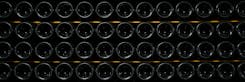 Cave à vin Primeurs 2023